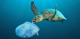 Chemical Waste Creates Clean Fuel