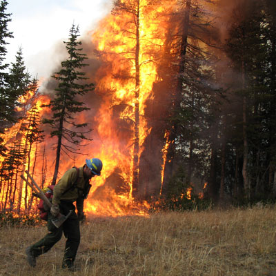 Why is California Having So Many Wildfires?